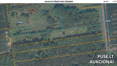 Parduodamas 2.00 ha miškų ūkio paskirties žemės sklypas Pasvalio r. sav. Trūliškio k. už 2800 EUR