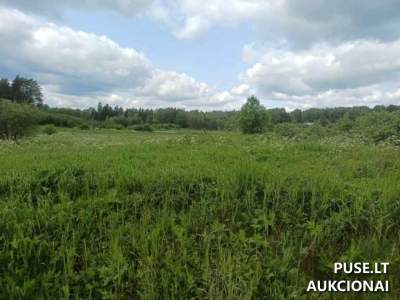 Kiemo rūsys ir 0.30 ha žemės sklypas Vilniaus rajone, Migūnų kaime, kaina nuo 2741 EUR