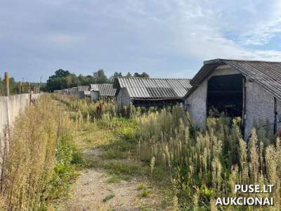 Žemės sklypas Kelmės rajone, Beržėnų II k. 2A parduodamas aukcione 46100 EUR