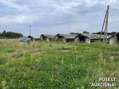 Žemės sklypas Kelmės r. sav., Paulišių k., parduodamas aukcione nuo 52000 EUR