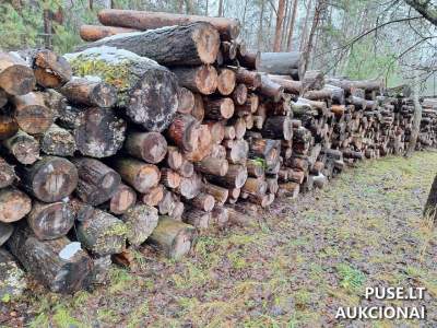 Kiti turtas: Malkinė mediena (pušis, 2m ilgio) Visagine, pradinė kaina 1454 EUR