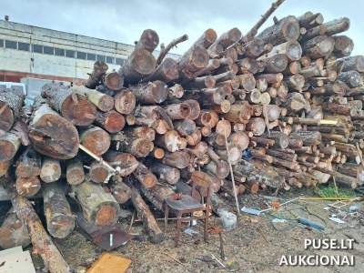 Malkinė mediena Visaginas 108 kub. m parduodama aukcione nuo 4452 EUR