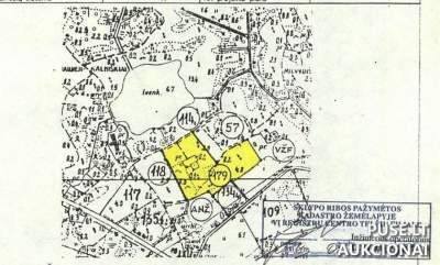 Žemės sklypas Telšių r. sav., Naujųjų Kalniškių k., parduodamas aukcione nuo 6400 EUR