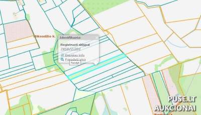 Žemės sklypas Telšių r. sav., Miksodžio k. parduodamas aukcione už 4000 EUR