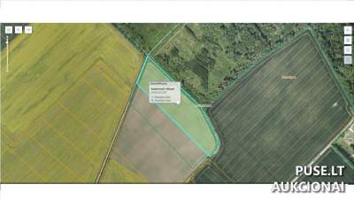 Žemės ūkio paskirties sklypas Joniškio rajone, Kepalių kaime, 2.28 ha, pradinė kaina 10380 EUR | Antstolių varžytynės