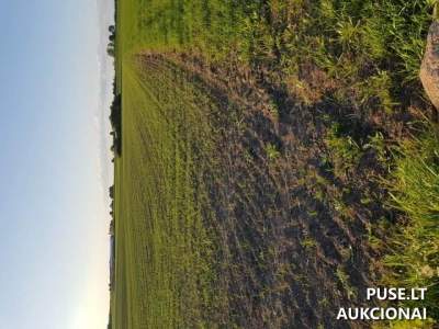 Žemės ūkio paskirties sklypų dalys Raseinių rajone, Lukaičių kaime, nuo 600 EUR