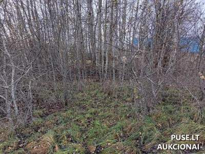 Žemės sklypas Utenoje, Žemdirbių skg. 14, parduodamas aukcione nuo 8960 EUR