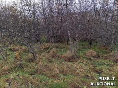 Žemės sklypas Utenos mieste, Žemdirbių skg. 6, pradinė kaina 8960 EUR - Parduodamas aukcione