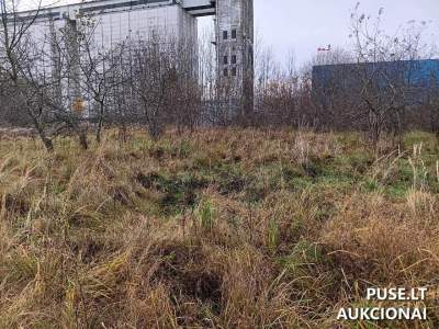 Valstybinės žemės sklypas Utenoje, Žemdirbių skg. 31 aukcione, pradinė kaina 8960 EUR