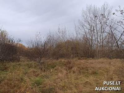 Žemės sklypas Utenoje, Žemdirbių skg. 23, parduodamas aukcione nuo 8850 EUR