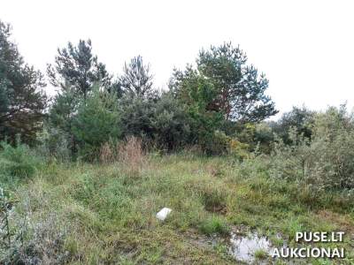 Valstybinės žemės sklypo aukcionas Kretingos rajone, Kurmaičių k., pradinė kaina 7366 EUR