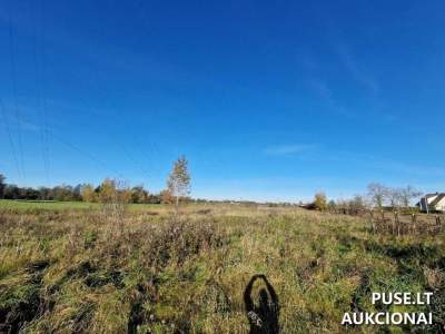 Valstybinis žemės sklypas Tauragės r. sav., Norkaičių k., Vytauto g. 151C, pradinė kaina 66890 EUR