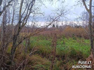 Žemės sklypas Utenoje, Pelkių g. 25, parduodamas aukcione nuo 7260 EUR