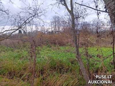 Valstybinės žemės sklypo aukcionas Utenoje, Pelkių g. 27, su pradine kaina 7170 EUR