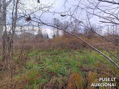 Žemės sklypo aukcionas Utenos mieste, Pelkių g. 41, pradinė kaina 7170 EUR