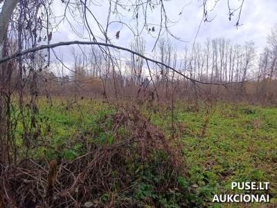 Valstybinės žemės sklypo pardavimas Utenoje, Pelkių g. 37, pradinė kaina 7190 EUR