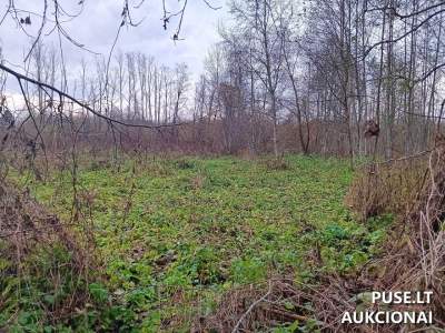 Valstybinės žemės sklypo aukcionas Utenoje, Pelkių g. 35, pradinė kaina 7170 EUR