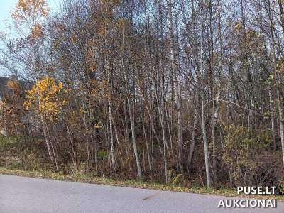 Žemės sklypas Utenoje, Bočių g. 25, parduodamas aukcione pradine kaina 20750 EUR