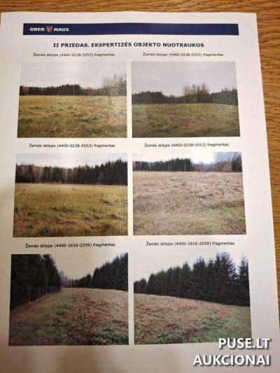 Žemės sklypas Jonavos r. sav. Šafarkos k. nuo 4560 EUR - Antstolių varžytynės