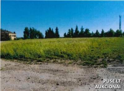 Valstybinės žemės nuoma Akmenės rajone, Ventoje, Statybininkų g. 1 – 131 EUR pradinė kaina