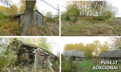 Žemės sklypas Vilniaus rajone, Perūnų kaime, pradinė kaina 9360 EUR, antstolių varžytynės