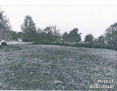 Žemės sklypo aukcionas Marijampolės rajone, Ąžuolyno kaime, pradinė kaina 4620 EUR