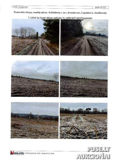 Žemės sklypas Kaišiadorių r., Lapainių k., parduodamas aukcione nuo 6640 EUR