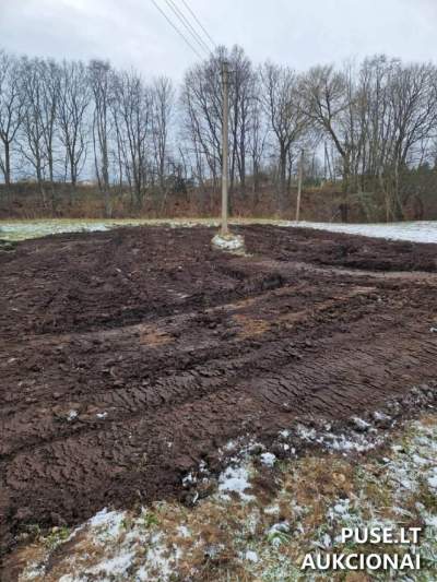 Valstybinis žemės sklypas Mažeikių r. Daubarių k. Piliakalnio g. 22, pradinė kaina 2083 EUR