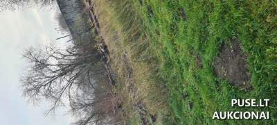 Žemės sklypas Šiaulių rajone, Kužių miestelyje, Žalioji g. 28, pradinė kaina 13816 EUR