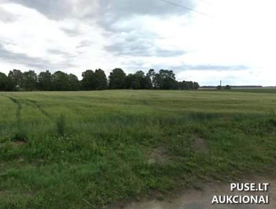 Valstybinis žemės sklypas Pakruojo rajone, Plaučiškių k., pradinė kaina 2247 EUR