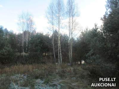 Žemės ūkio paskirties žemės sklypas Klaipėdos r. sav., Voveriškių k. suformuotas 1.1927 ha, pradinė kaina 5320 EUR