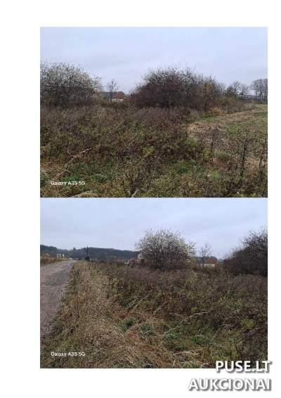 Valstybinės žemės sklypas Kretingos rajone, Upės g. 4A, Kurmaičių k., pradinė kaina 21286 EUR