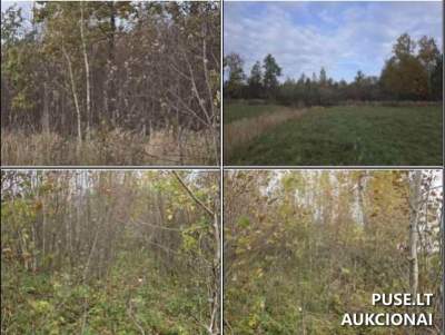 Valstybinis žemės sklypas Radviliškio r. sav., Birželių k. - Pradinė kaina 11185 EUR