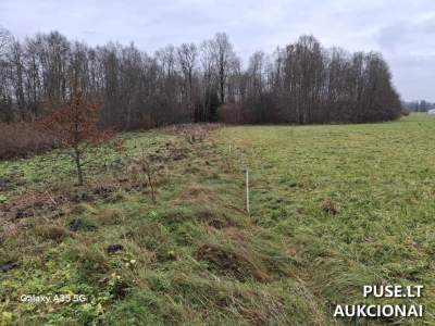 Valstybinės žemės sklypas Skuodo rajone, Aleksandrijos kaime, pradinė kaina 2234 EUR