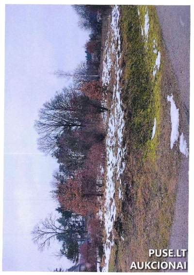 Žemės sklypas Pagėgiuose, Dzūkų g. 9, parduodamas viešame aukcione nuo 8500 EUR