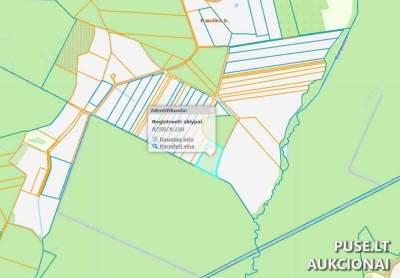 Žemės ūkio paskirties sklypas Šilalės r. sav., Rausko kaime, pradinė kaina 9600 EUR