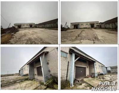 Bulvių sandėlis Raseinių rajone, Kaulakių kaime, dubysos g. 54, pradinė kaina 43000 EUR