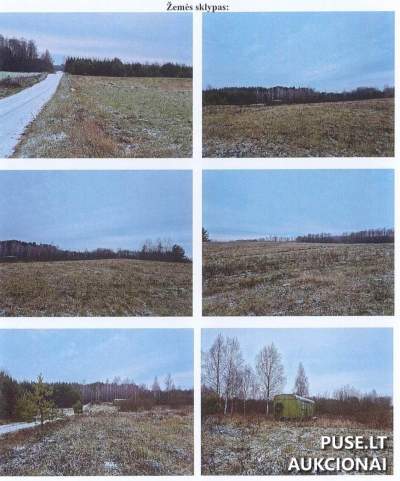 Parduodamas 1/1 žemės sklypas Alytaus r. sav., Ilgų kaimo vietovėje, pradinė kaina 11200 EUR