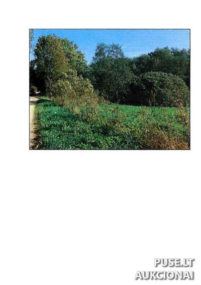 5.31 ha žemės ūkio sklypas Prienų rajone, Rodomislės kaime, pradinė kaina 19040 EUR