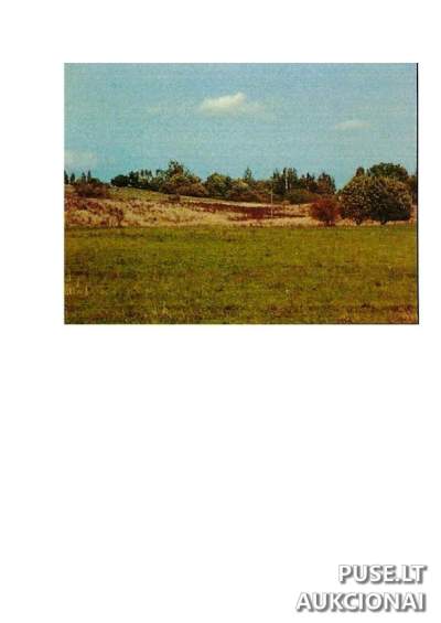 Didelis 5.29 ha žemės ūkio sklypas Prienų rajone, Intuponių kaime, pradinė kaina 17360 EUR