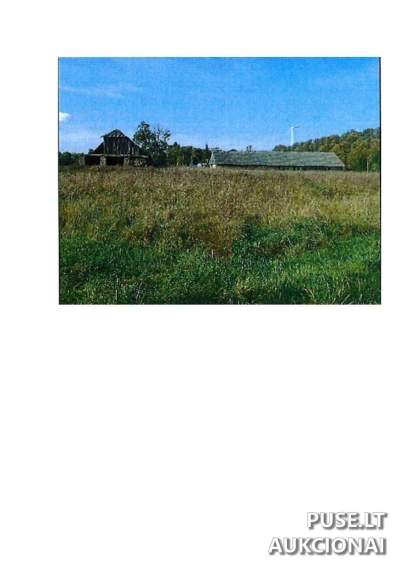Didelis 33.91 ha žemės ūkio sklypas Prienų rajone, Rodomislės kaime, pradinė kaina 112880 EUR