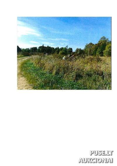 Parduodamas 1.244 ha žemės ūkio sklypas Prienų rajone, Rodomislės kaime, 40000 EUR