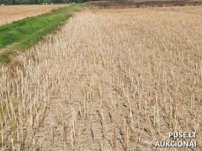 Žemės ūkio paskirties sklypo dalis Anykščių r. sav., Sirvydų k. aukcionas, pradinė kaina 6360 EUR