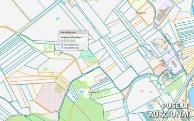 Žemės ūkio paskirties sklypas Šilalės rajone, Balsių kaime – pradinė kaina 1736 EUR