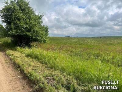 4.05 ha žemės ūkio sklypas Raseinių rajone, Tendžiogaloje, pradinė kaina 19440 EUR