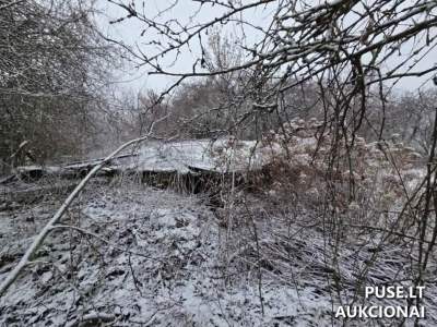 Parduodamas gyvenamasis namas Kėdainių r. su ūkiniais pastatais Paobelio k., Rožių g. 15, pradinė kaina 3216 EUR