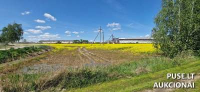 Valstybinis žemės sklypas Joniškyje, Sandėlių g. 9A, pradinė kaina 1170 EUR nuoma