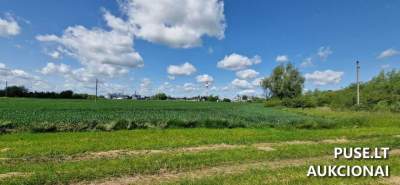 Valstybinis žemės sklypo nuomos aukcionas Joniškyje, Turgaus g. 6B, pradinė kaina 2472 EUR