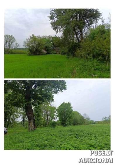 Žemės ūkio paskirties sklypo dalies pardavimas Švenčionių r. sav., Klišiškės k. su pradine kaina nuo 4352 EUR