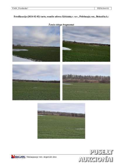 Parduodamas 1/1 žemės ūkio sklypas Kėdainių rajone, Beinaičių kaime, pradinė kaina 11280 EUR